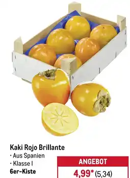 METRO Kaki Rojo Brillante Angebot