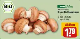 REWE Braune Bio Champignons Angebot