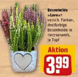 REWE Besenheide Love Angebot