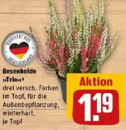 REWE Besenheide Trio Angebot