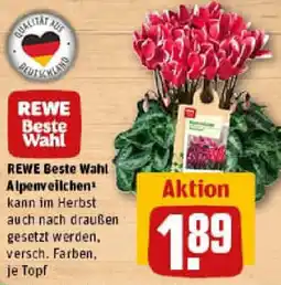 REWE REWE Beste Wahl Alpenveilchen Angebot