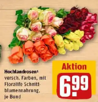 REWE Hochlandrosen Angebot
