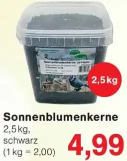 Wiglo Wunderland Sonnenblumenkerne Angebot