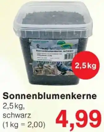 Wiglo Wunderland Sonnenblumenkerne Angebot