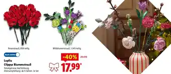 Lidl Lupilu Clippys Blumenstrauß Angebot