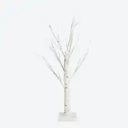 NKD LED-Birke, Höhe ca. 60 cm Angebot