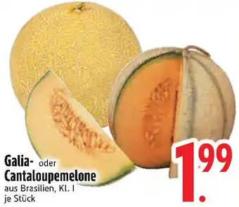 Edeka Galia- oder Cantaloupemelone Angebot