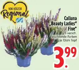 Edeka Calluna ,,Beauty Ladies" Five Angebot