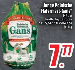 Edeka Junge Polnische Hafermast-Gans Angebot