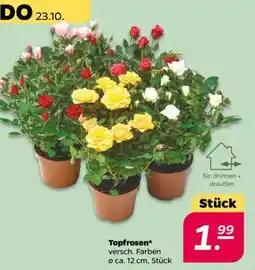 NETTO Topfrosen Angebot