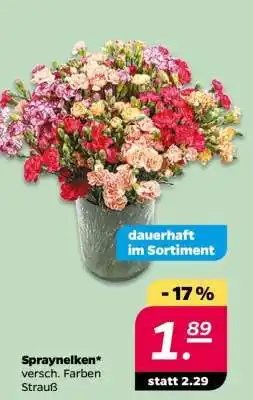 NETTO Spraynelken Angebot