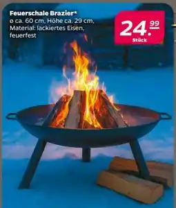 NETTO Feuerschale Brazier Angebot