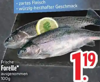 Edeka Frische Forelle Angebot