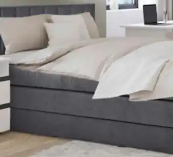 XXXLutz Xora Boxspringbett Angebot