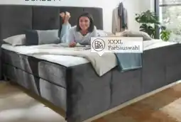 XXXLutz Esposa Boxbett Angebot