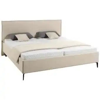 XXXLutz Musterring Polsterbett Angebot