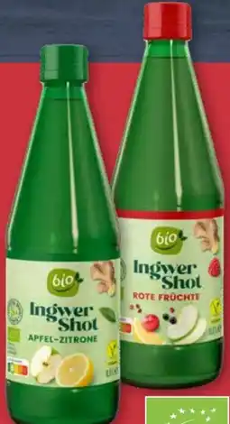 Aldi Nord Bio Ingwer Shot Angebot