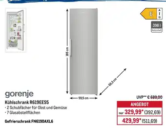 METRO gorenje Kühlschrank R619EES5 Angebot