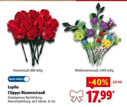 Lidl Lupilu rosenstrauß Angebot