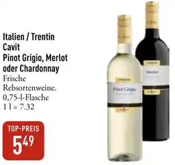 Galeria Markthalle Italien / Trentin Cavit Pinot Grigio, Merlot oder Chardonnay Angebot