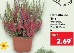 Kaufland Herbstheide Trio Angebot