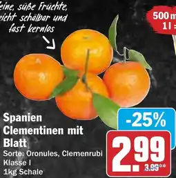 HIT Spanien Clementinen mit Blatt Angebot