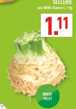 Marktkauf Sellerie Angebot