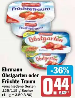 HIT Ehrmann Obstgarten oder Früchte Traum Angebot