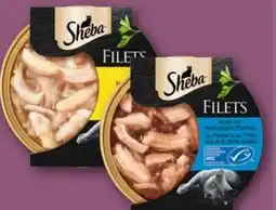 REWE Center Sheba Feine Filets Angebot