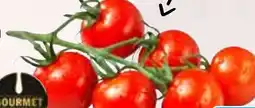HIT Niederlande/Portugal Gourmet HIT Mini Cherrystrauchtomaten Angebot