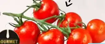 HIT Niederlande/Portugal Gourmet HIT Mini Cherrystrauchtomaten Angebot