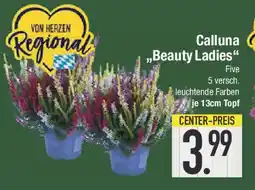E-Center Calluna ,,Beauty Ladies" Angebot
