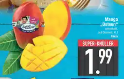 E-Center Mango „Osteen" Angebot