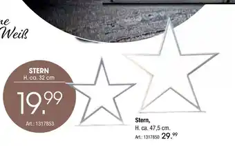 Zurbrüggen Stern Angebot