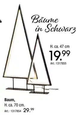 Zurbrüggen Bäume Angebot