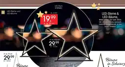 Zurbrüggen Led-stern Angebot