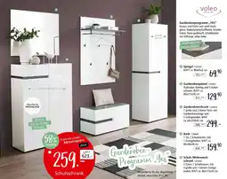 Zurbrüggen Voleo spiegel Angebot