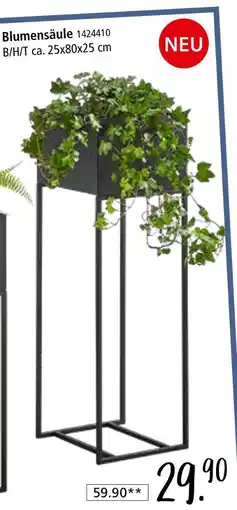 Zurbrüggen Blumensäule Angebot