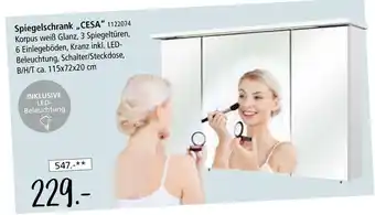Zurbrüggen Spiegelschrank cesa Angebot