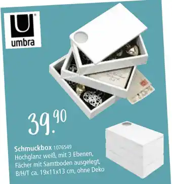 Zurbrüggen Umbra schmuckbox Angebot