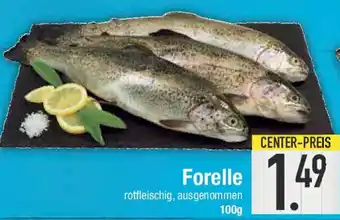 E-Center Forelle Angebot