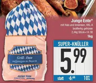 E-Center Junge Ente Angebot
