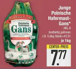 E-Center Junge Polnische Hafermast- Gans Angebot