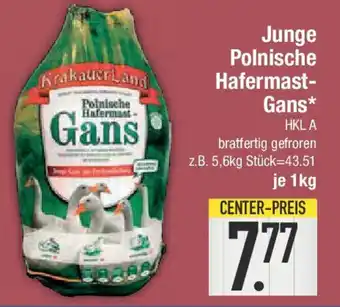 E-Center Junge Polnische Hafermast- Gans Angebot