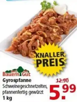 Multi Markt Bauern Gut Gyrospfanne Angebot
