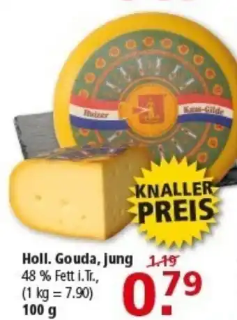 Multi Markt Holl. Gouda, jung Angebot