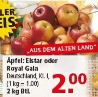 Multi Markt Apfel Elstar oder Royal Gala Angebot