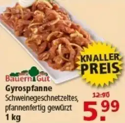 Multi Markt Bauern Gut Gyrospfanne Angebot