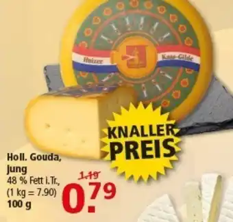 Multi Markt Holl. Gouda, Jung Angebot