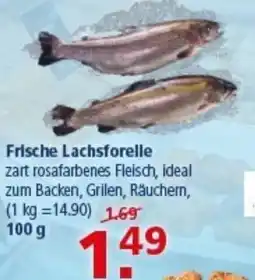 Multi Markt Frische Lachsforelle Angebot